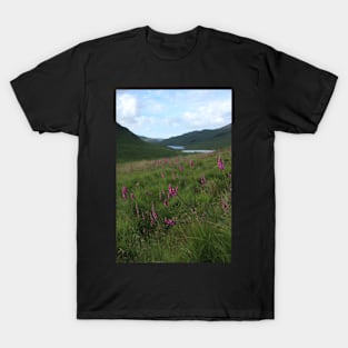 Field of foxgloves II T-Shirt